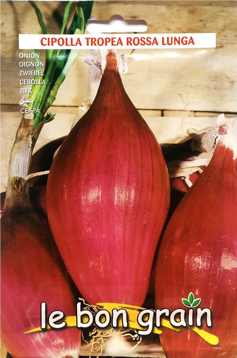 Tropea Rossa Lunga